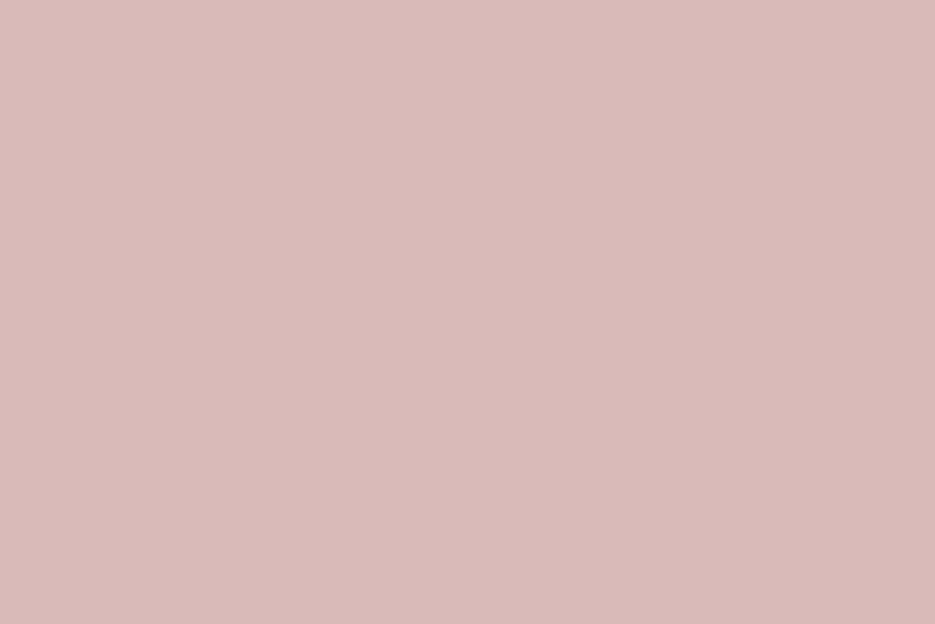Beltéri színes falfesték - VIC 21 (rózsaszín)