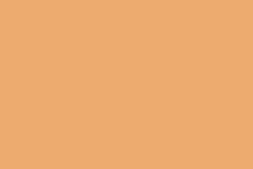 Beltéri színes falfesték - VIC 36 (sötét narancssárga)