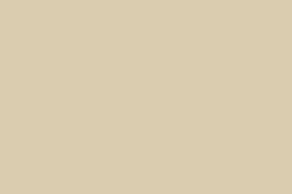 Beltéri színes falfesték - VIC 40 (világos krém)