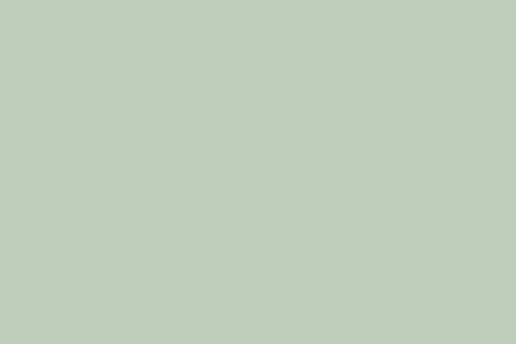 Beltéri színes falfesték - VIC 51 (vernilzöld)