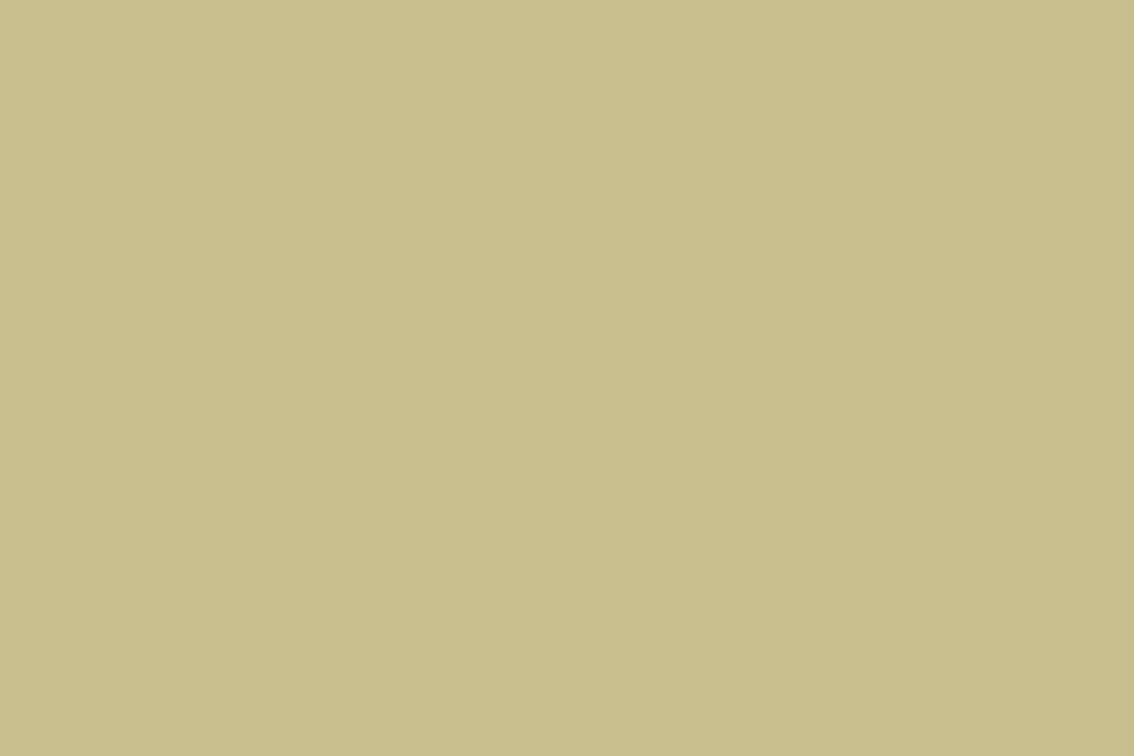 Beltéri színes falfesték - VIC 54 (olivazöld)