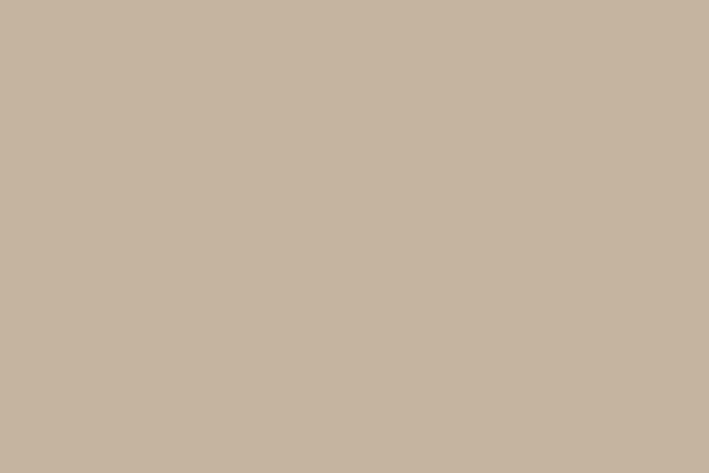 Beltéri színes falfesték - VIC 74 (sötét drapp)